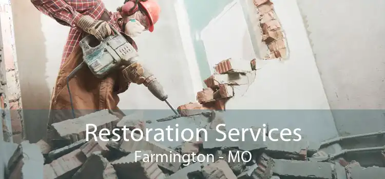 Restoration Services Farmington - MO