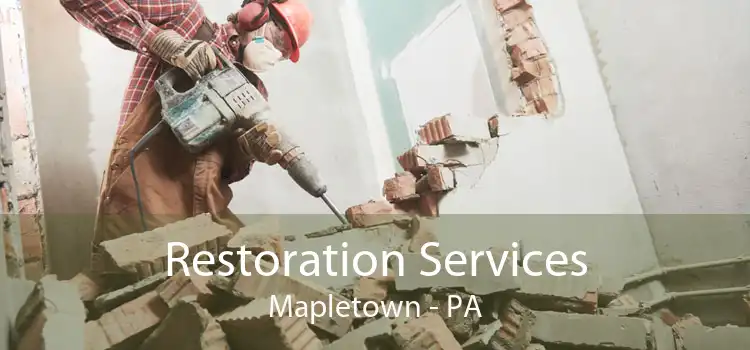  Restoration Services Mapletown - PA