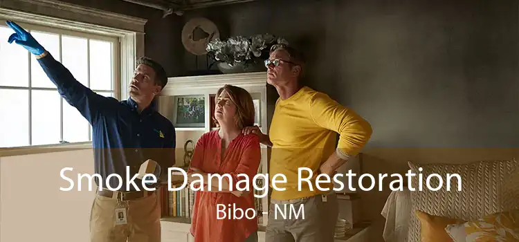 Smoke Damage Restoration Bibo - NM