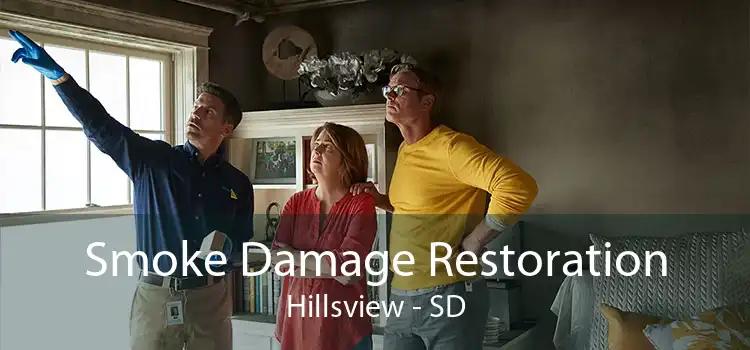 Smoke Damage Restoration Hillsview - SD