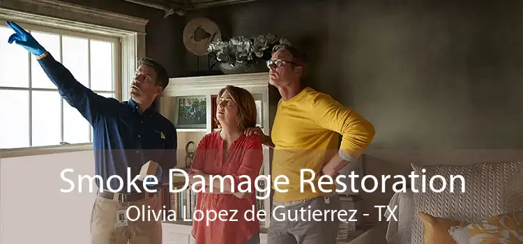 Smoke Damage Restoration Olivia Lopez de Gutierrez - TX