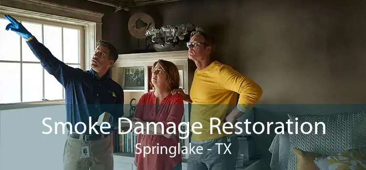 Smoke Damage Restoration Springlake - TX