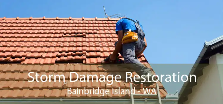 Storm Damage Restoration Bainbridge Island - WA