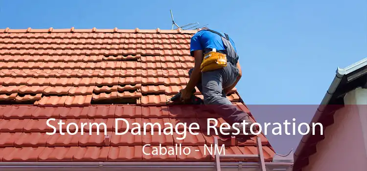 Storm Damage Restoration Caballo - NM