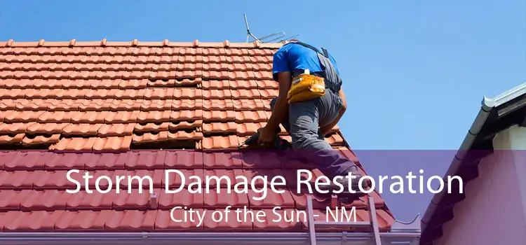 Storm Damage Restoration City of the Sun - NM
