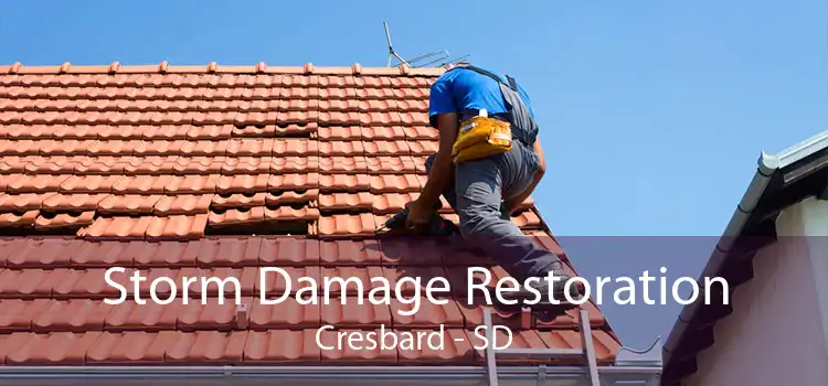Storm Damage Restoration Cresbard - SD
