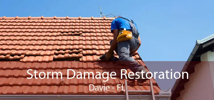 Storm Damage Restoration Davie - FL