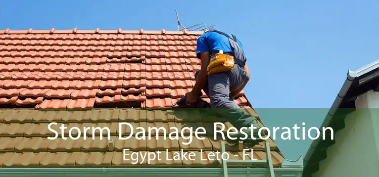 Storm Damage Restoration Egypt Lake Leto - FL