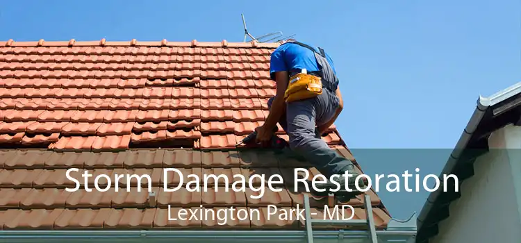 Storm Damage Restoration Lexington Park - MD
