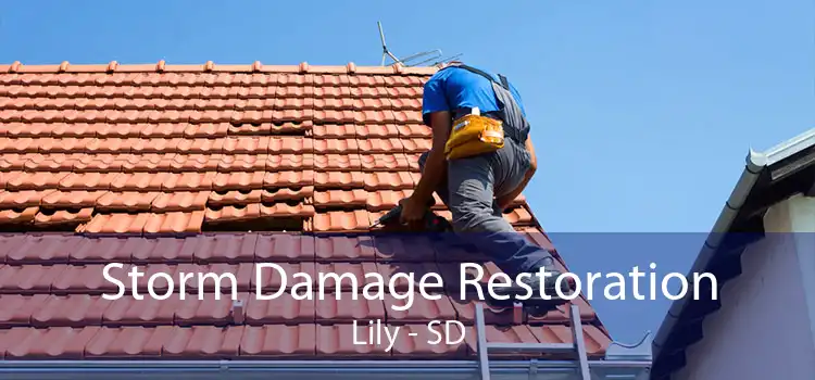 Storm Damage Restoration Lily - SD