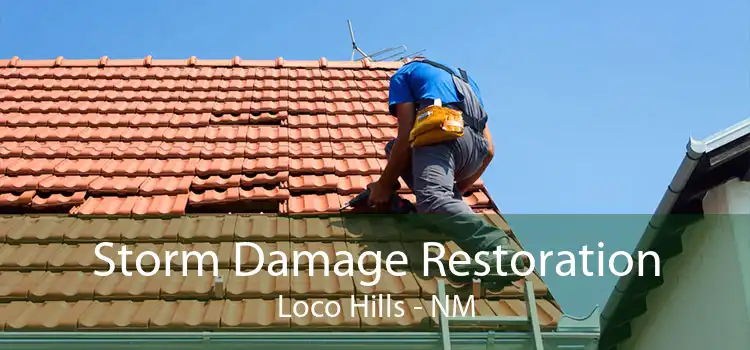 Storm Damage Restoration Loco Hills - NM