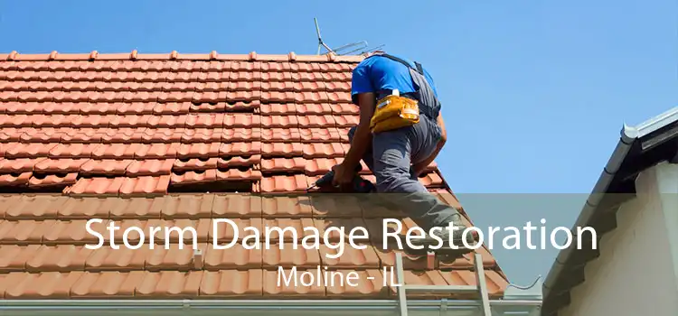 Storm Damage Restoration Moline - IL