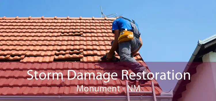 Storm Damage Restoration Monument - NM