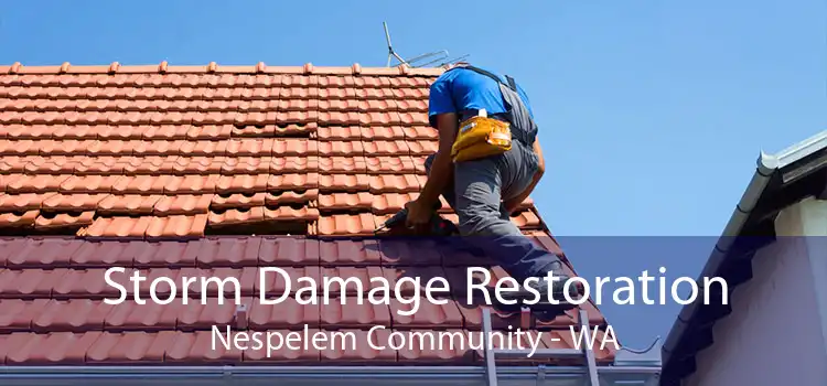 Storm Damage Restoration Nespelem Community - WA