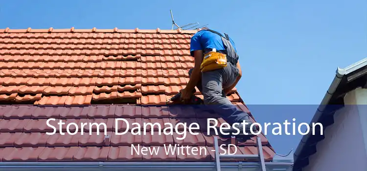Storm Damage Restoration New Witten - SD