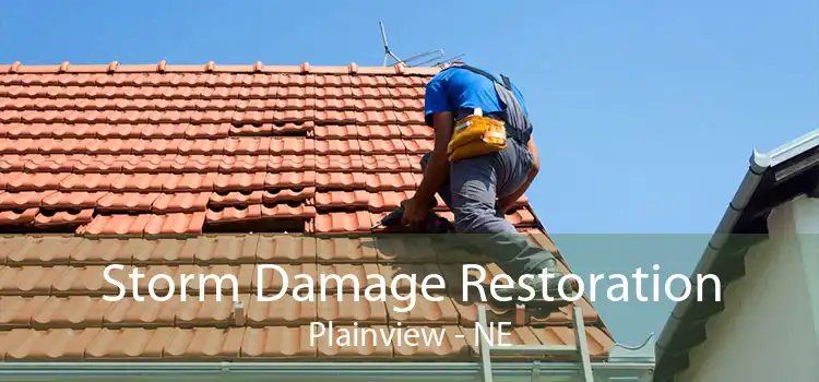 Storm Damage Restoration Plainview - NE