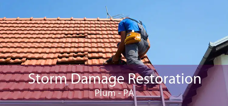 Storm Damage Restoration Plum - PA