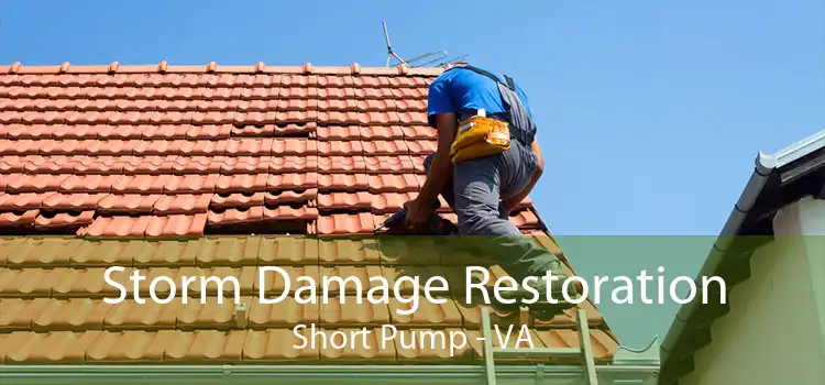 Storm Damage Restoration Short Pump - VA