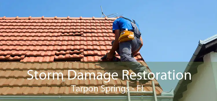 Storm Damage Restoration Tarpon Springs - FL
