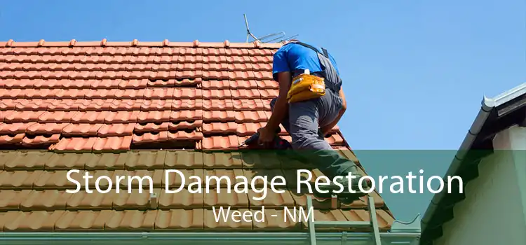 Storm Damage Restoration Weed - NM