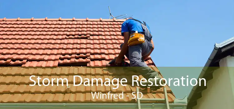 Storm Damage Restoration Winfred - SD