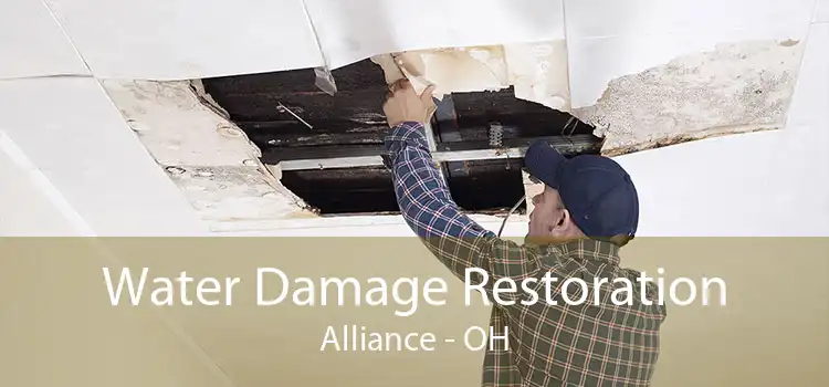 Water Damage Restoration Alliance - OH