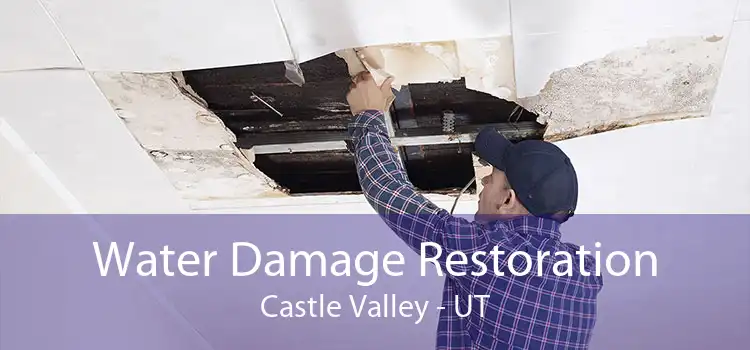 Water Damage Restoration Castle Valley - UT