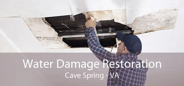 Water Damage Restoration Cave Spring - VA
