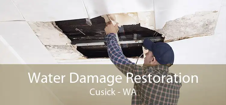 Water Damage Restoration Cusick - WA