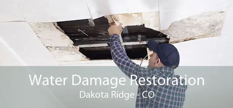 Water Damage Restoration Dakota Ridge - CO