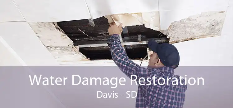 Water Damage Restoration Davis - SD
