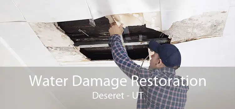 Water Damage Restoration Deseret - UT