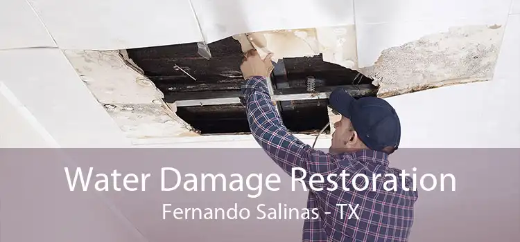 Water Damage Restoration Fernando Salinas - TX