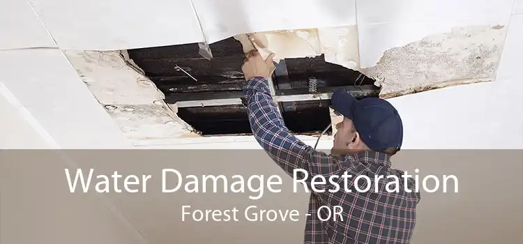Water Damage Restoration Forest Grove - OR