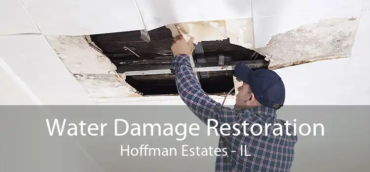 Water Damage Restoration Hoffman Estates - IL