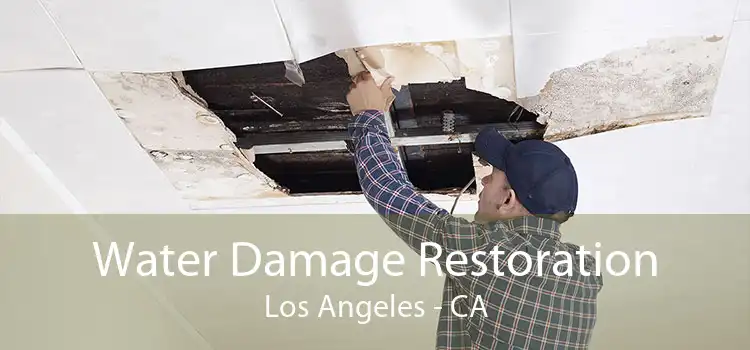 Water Damage Restoration Los Angeles - CA