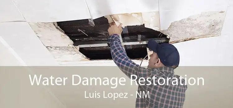 Water Damage Restoration Luis Lopez - NM