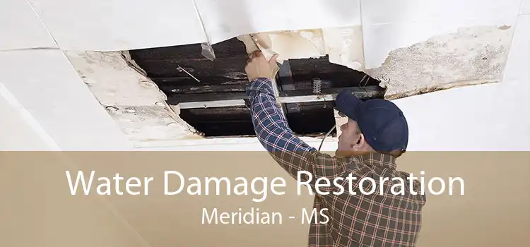 Water Damage Restoration Meridian - MS