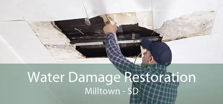 Water Damage Restoration Milltown - SD