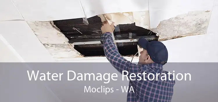 Water Damage Restoration Moclips - WA