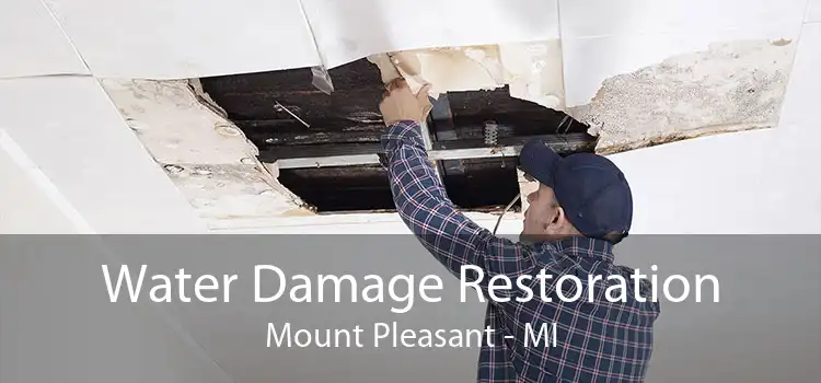 Water Damage Restoration Mount Pleasant - MI