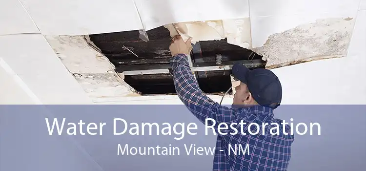 Water Damage Restoration Mountain View - NM