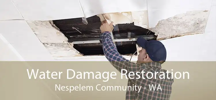 Water Damage Restoration Nespelem Community - WA