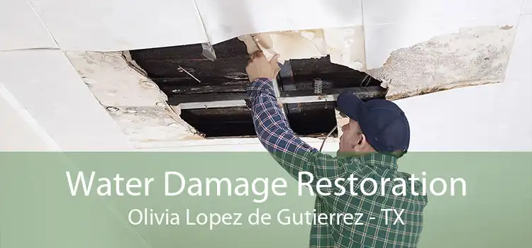 Water Damage Restoration Olivia Lopez de Gutierrez - TX