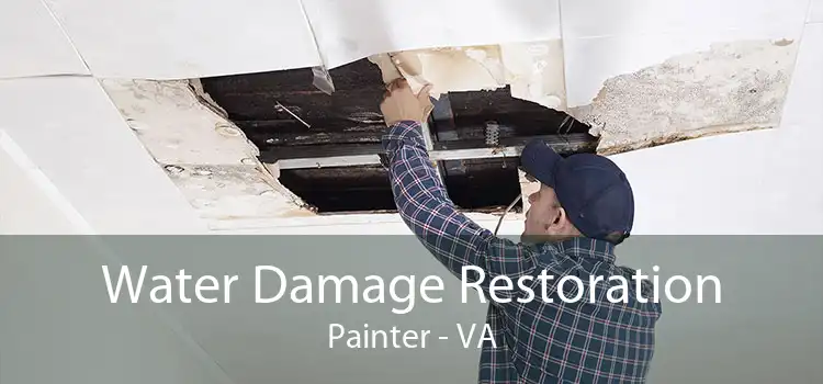 Water Damage Restoration Painter - VA