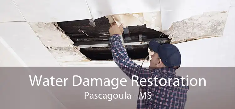 Water Damage Restoration Pascagoula - MS