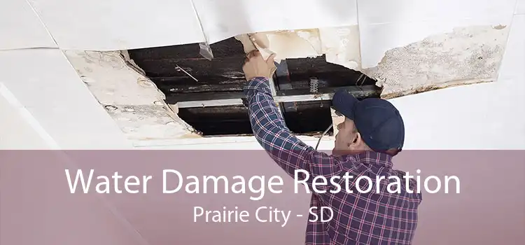 Water Damage Restoration Prairie City - SD