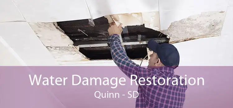 Water Damage Restoration Quinn - SD