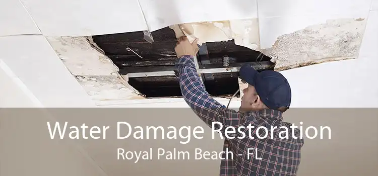 Water Damage Restoration Royal Palm Beach - FL