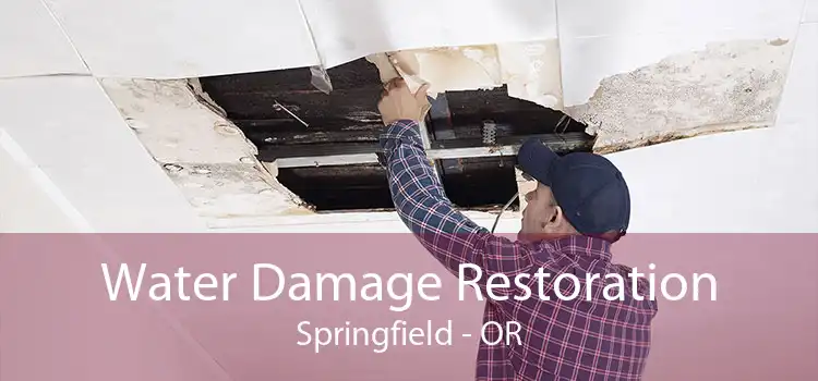 Water Damage Restoration Springfield - OR